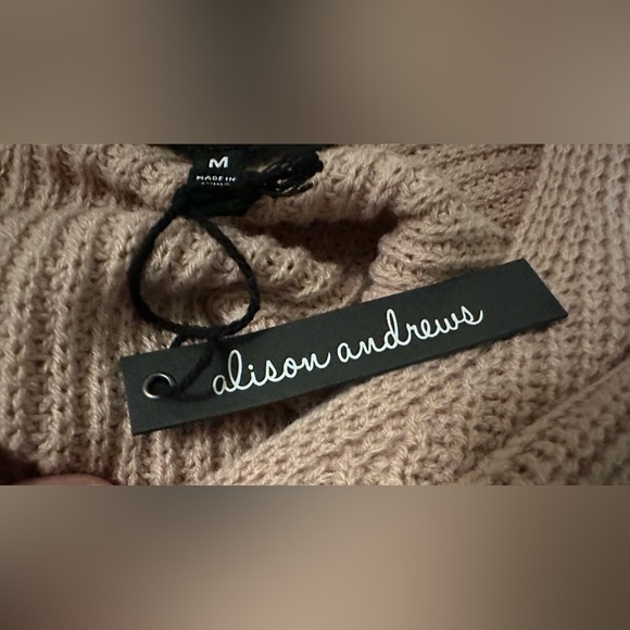 Alison Andrews Women’s Beige Pullover Sweater Twisted Back V-neck Pearls Size M - Picture 11 of 13